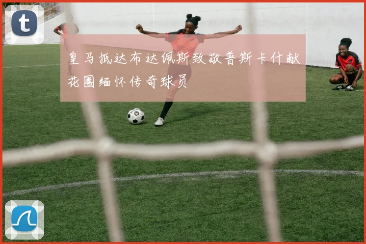 皇马抵达布达佩斯致敬普斯卡什献花圈缅怀传奇球员